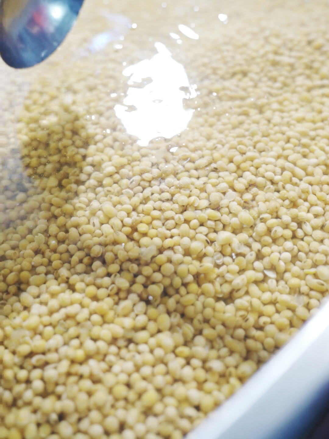 Về công ty c057700 00 00 00still001